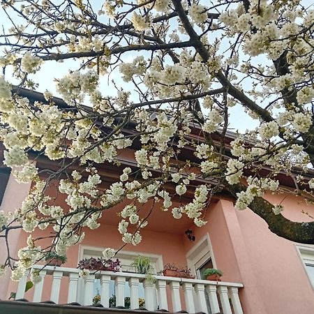 Apartman Nada クラピナ エクステリア 写真